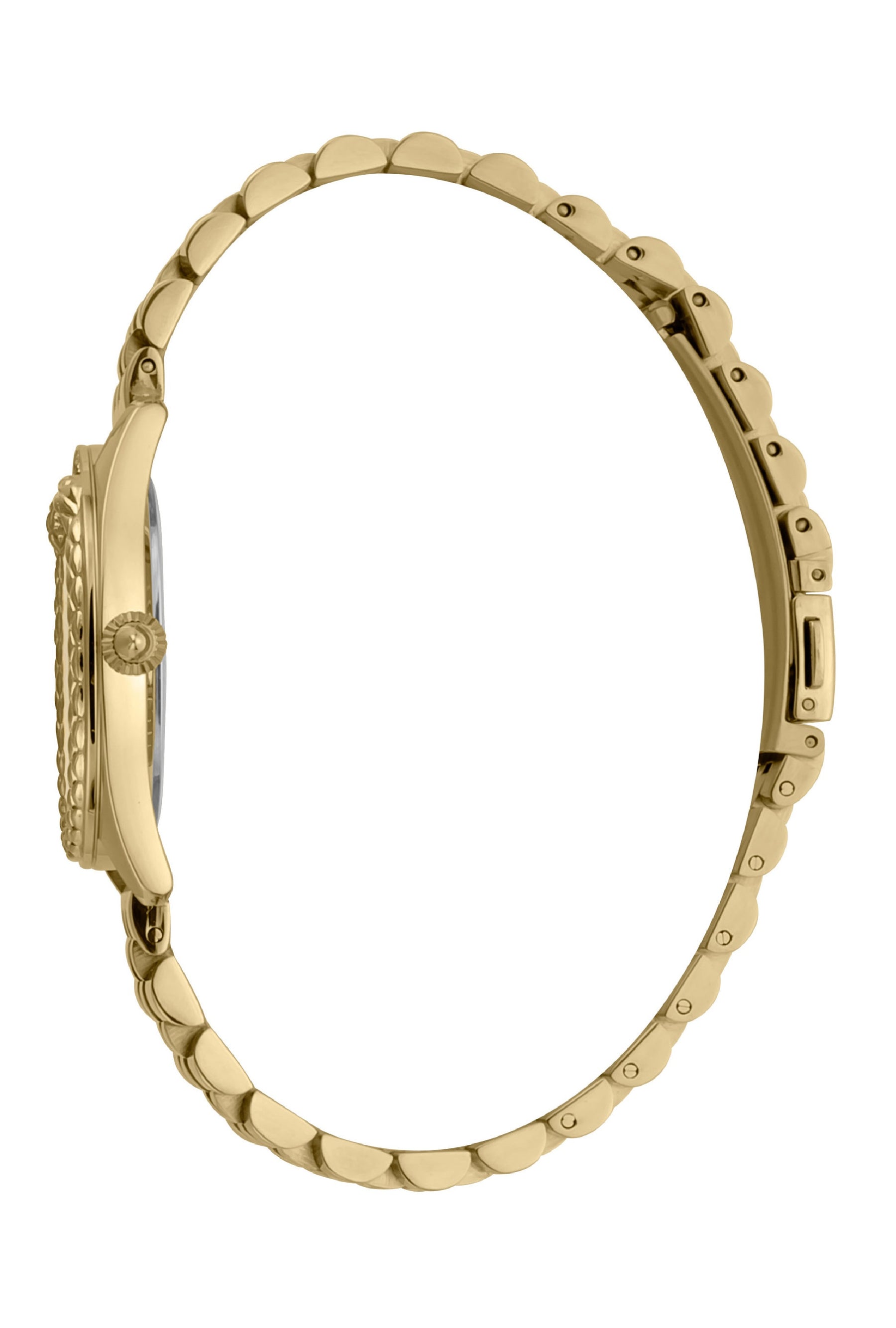 JUST CAVALLI  Watch PRESTIGE BOX SET donna  JC1L195M0065 GOLD
