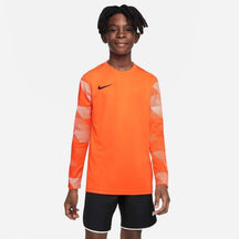MAGLIA DRI-FIT PARK IV GOALKEEPER CJ6072-819