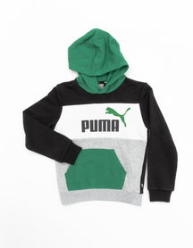 FELPA ESS BLOCK HOODIE  679718-86