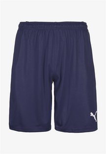 PUMA LIGA SHORTS 703431-06