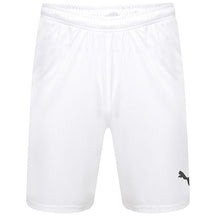 PUMA LIGA SHORTS 703437-04