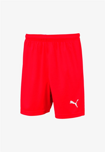 PUMA LIGA SHORTS  703437-01