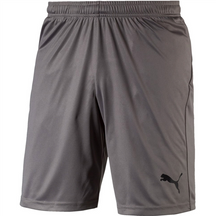 PANTALONCINI SPORTIVI  703436-13