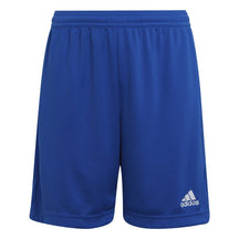 PANTALONCINO ENTRADA22 HG6291