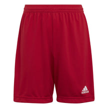 PANTALONCINO ADIDAS ENTRADA22 H57501