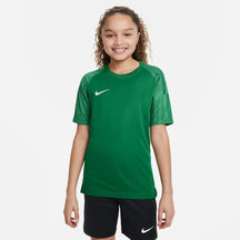 T-SHIRT Nike Dri-FIT Academy DH8369-302