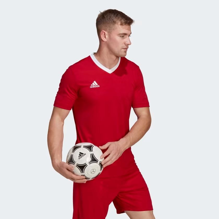 T-SHIRT  ADIDAS ENTRADA22 H61736