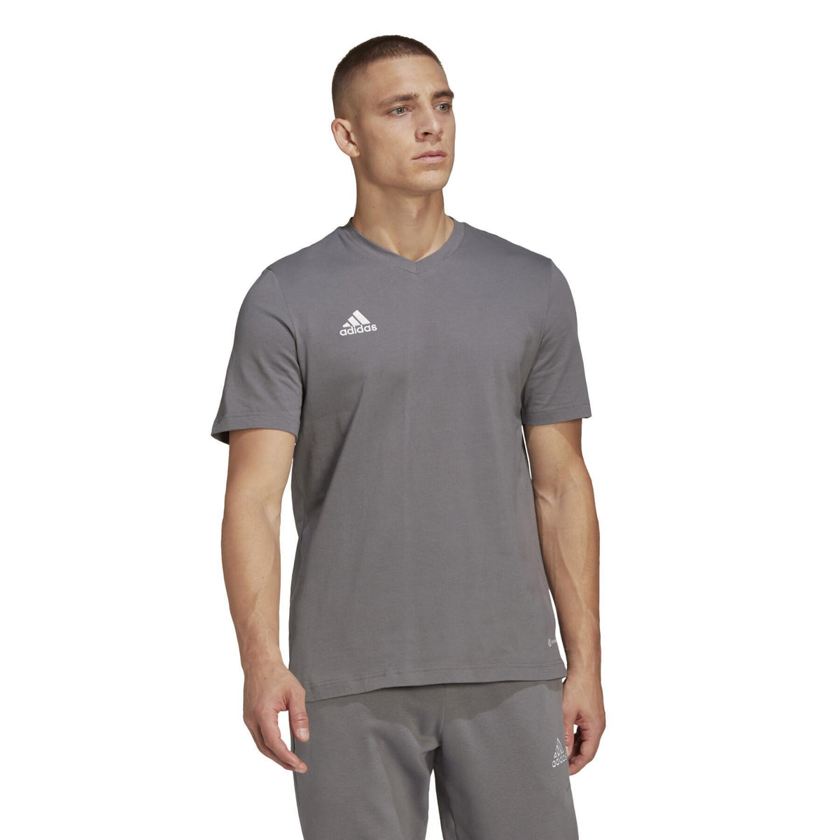 T-SHIRT ADIDAS ENTRADA22 HC0449