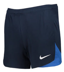 PANTALONCINI Nike Dri-FIT Academy Pro DH9287-451