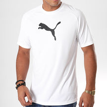 T-SHIRT LIGA SIDELINE TEE PU PUMA 655321-04
